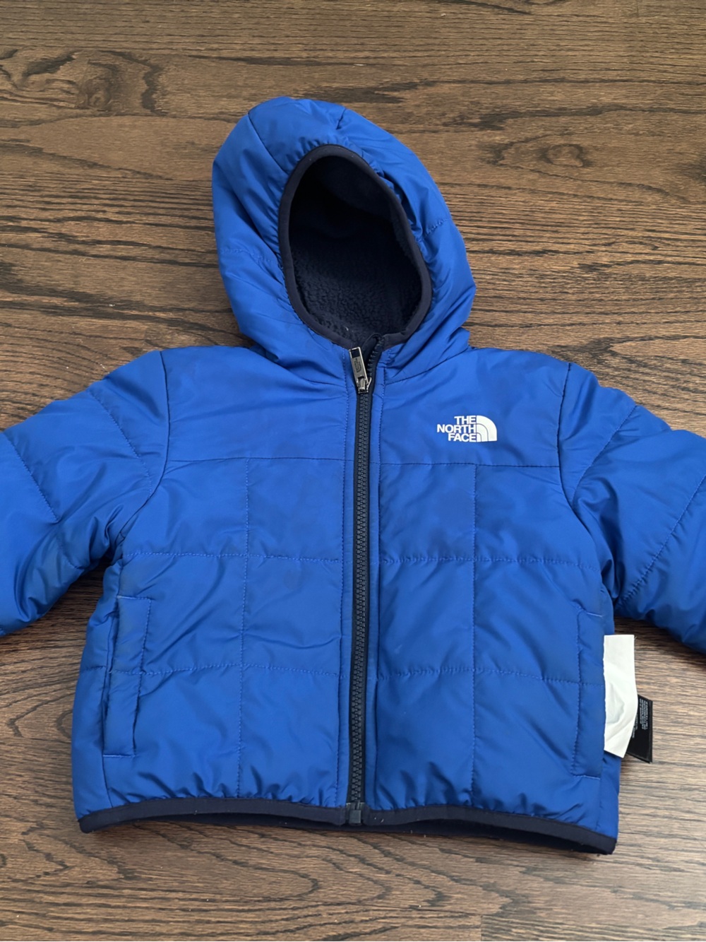 The North Face Boys' Royal Blue Hooded Puffer Jacket